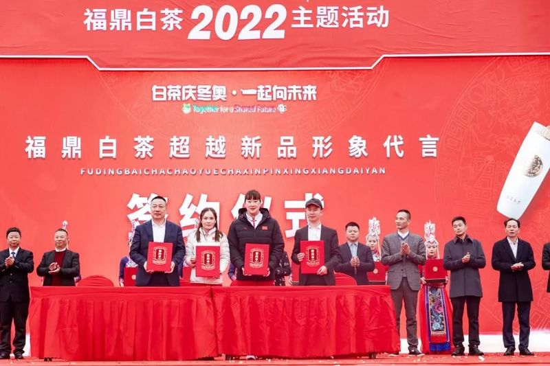 有关于茶香冬奥⑥当福鼎白茶遇上奥运冠军的相关内容(3)
