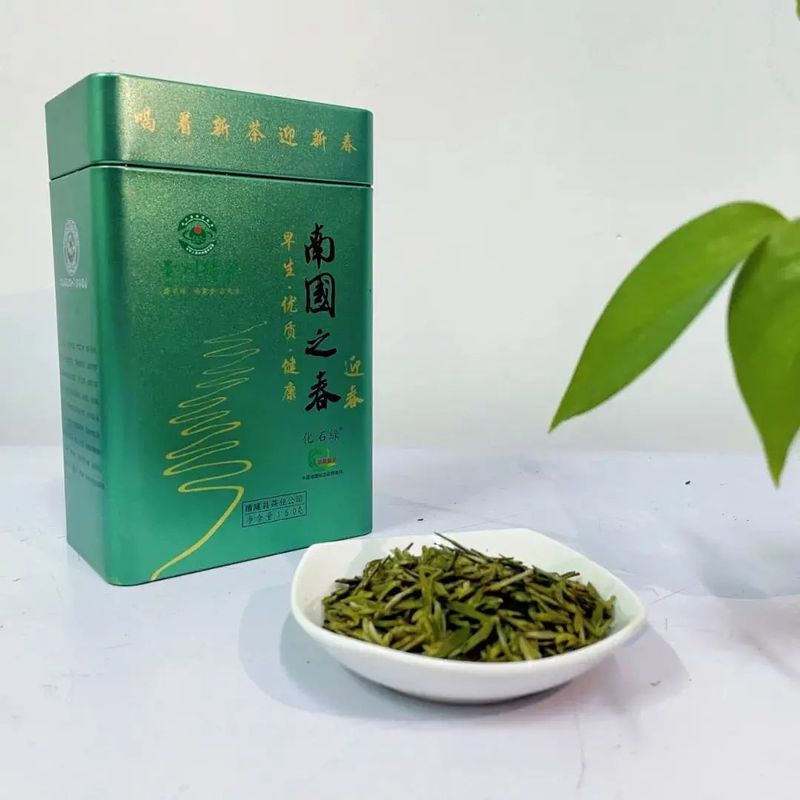 有关于首批晴隆早春绿茶质检报告和品质鉴评报告出炉！的内容(2)
