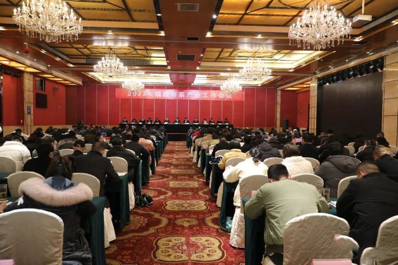 关于福鼎市茶产业工作会议召开，2022年福鼎茶产业要这么干！的资讯