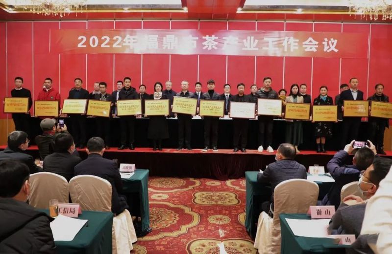 关于福鼎市茶产业工作会议召开，2022年福鼎茶产业要这么干！的资讯(3)