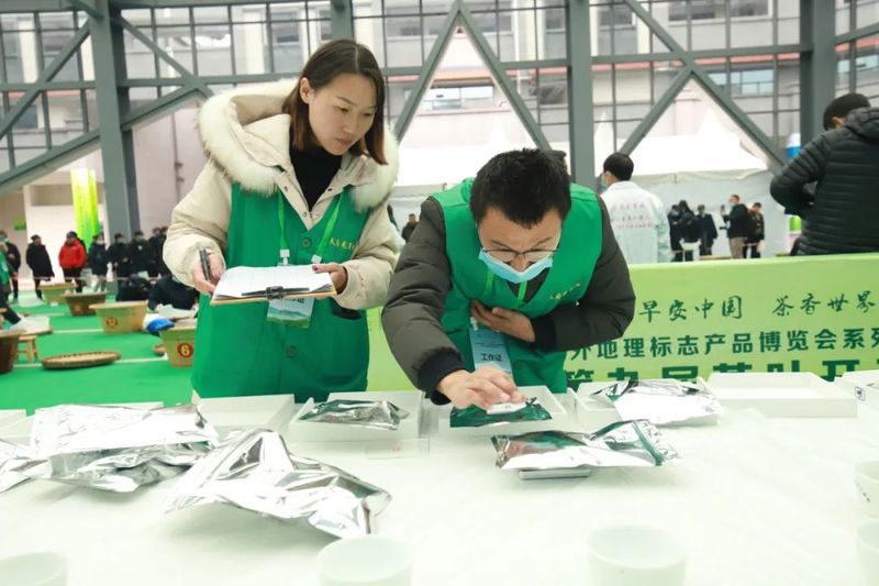 有关于“天府龙芽杯”2022年四川省扁形绿茶手工制作职业技能竞赛在泸州纳溪区成功举行！的新闻(19)