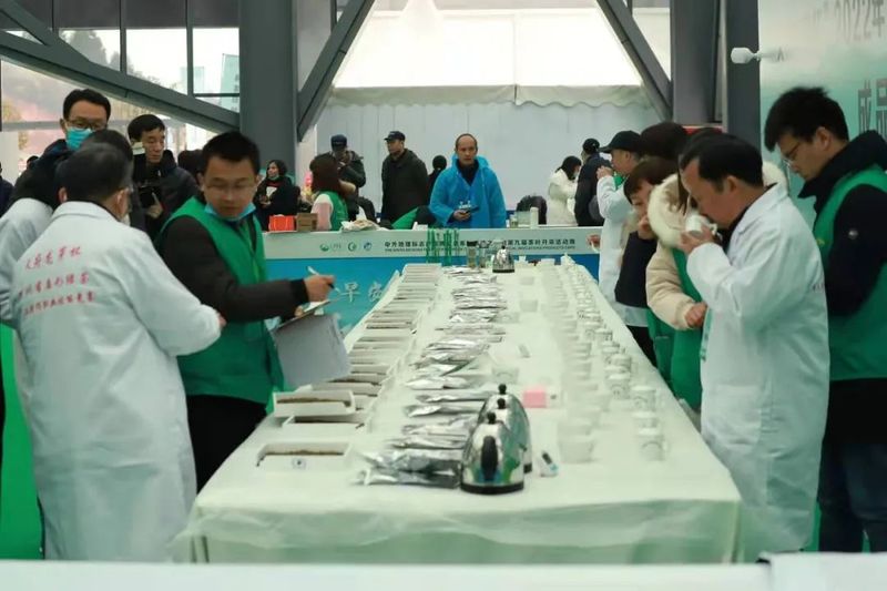 有关于“天府龙芽杯”2022年四川省扁形绿茶手工制作职业技能竞赛在泸州纳溪区成功举行！的新闻(25)
