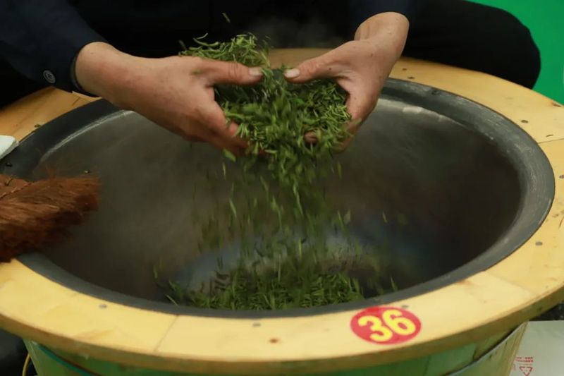 有关于“天府龙芽杯”2022年四川省扁形绿茶手工制作职业技能竞赛在泸州纳溪区成功举行！的新闻(15)