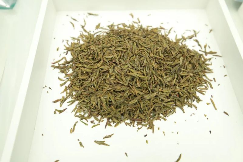 有关于“天府龙芽杯”2022年四川省扁形绿茶手工制作职业技能竞赛在泸州纳溪区成功举行！的新闻(22)