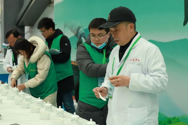 有关于“天府龙芽杯”2022年四川省扁形绿茶手工制作职业技能竞赛在泸州纳溪区成功举行！的新闻(21)
