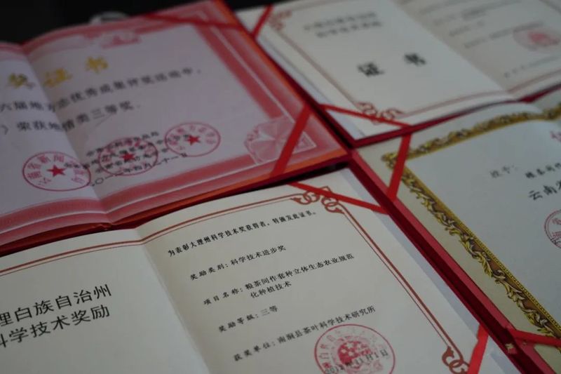 有关于南涧:发展“一县一业” ,答好茶产业绿色发展答卷的消息(7)