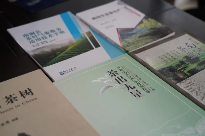 有关于南涧:发展“一县一业” ,答好茶产业绿色发展答卷的消息(9)