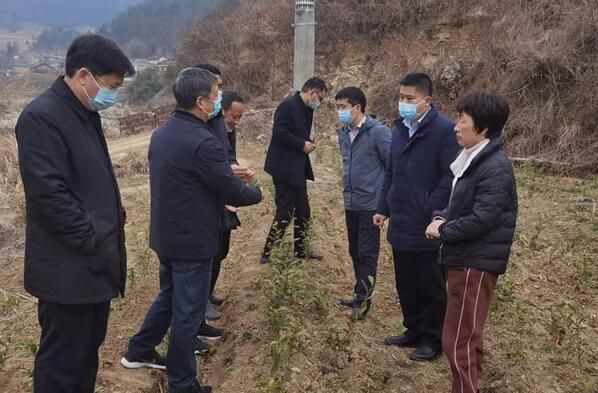 关于马兰起:调研全房县茶叶产业发展情况的新闻