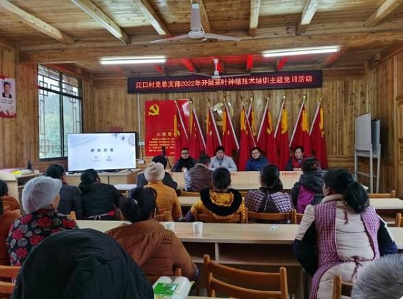 有关于高基乡:推动茶产业发展 助力瑶乡乡村振兴的内容