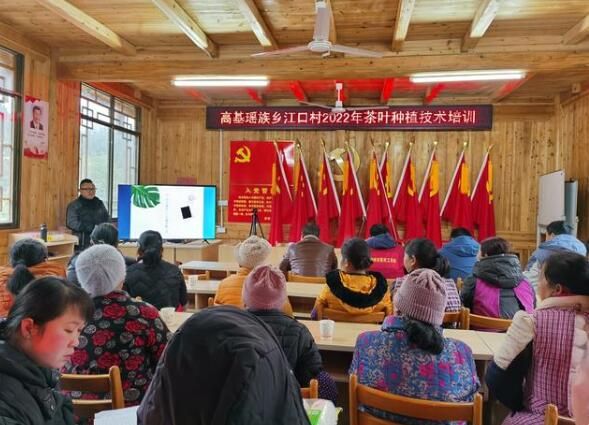有关于高基乡:推动茶产业发展 助力瑶乡乡村振兴的内容(1)