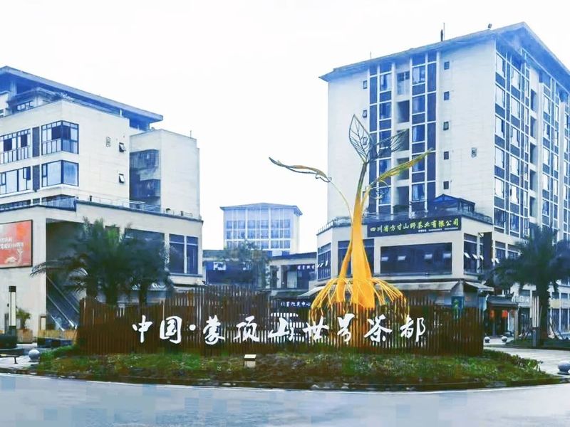 关于蒙顶山春茶即将大规模上市 交易市场“热”起来的内容(1)