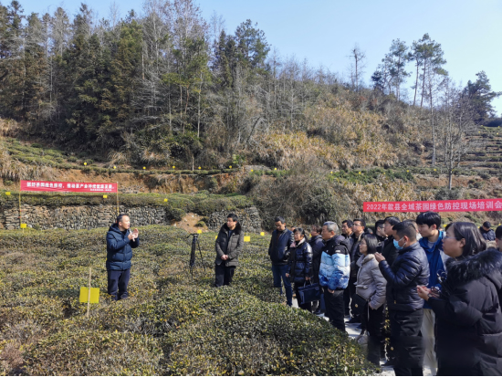 关于歙县召开茶园绿色防控工作现场会的内容
