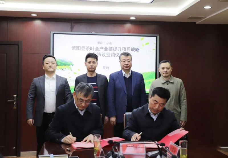 关于京东与紫阳县人民政府签约 助力紫阳茶叶全产业链高质量发展的最新消息(3)
