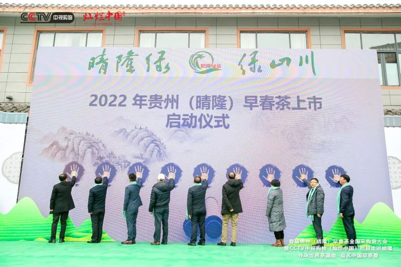 有关于从晴隆开始,全国茶商纷纷到贵州抢占“鲜”机的相关内容(2)