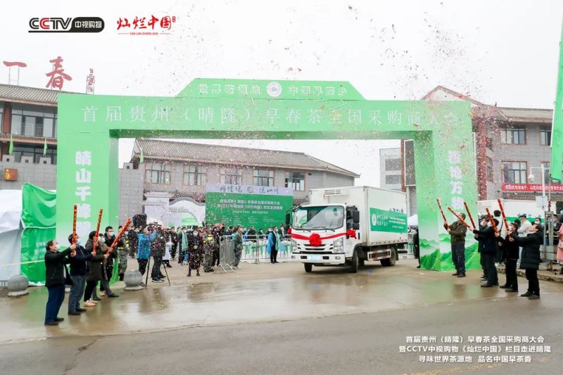 有关于从晴隆开始,全国茶商纷纷到贵州抢占“鲜”机的相关内容(1)