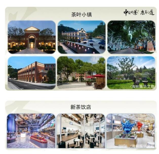 有关于你知道中国茶产业发展现状如何吗?的最新消息(16)