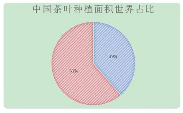 有关于你知道中国茶产业发展现状如何吗?的最新消息(1)