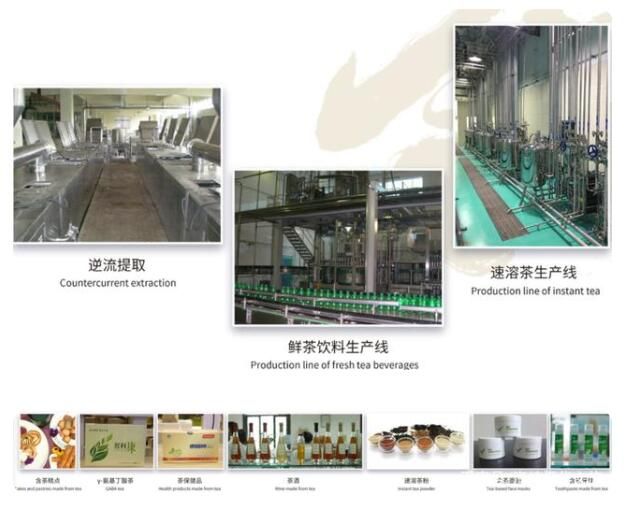 有关于中国茶产业科技的创新，引领产业进入新时代的相关内容(8)