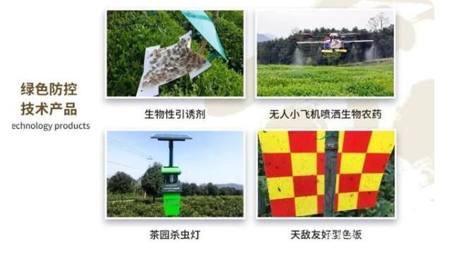 有关于中国茶产业科技的创新，引领产业进入新时代的相关内容(4)