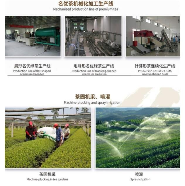 有关于中国茶产业科技的创新，引领产业进入新时代的相关内容(6)