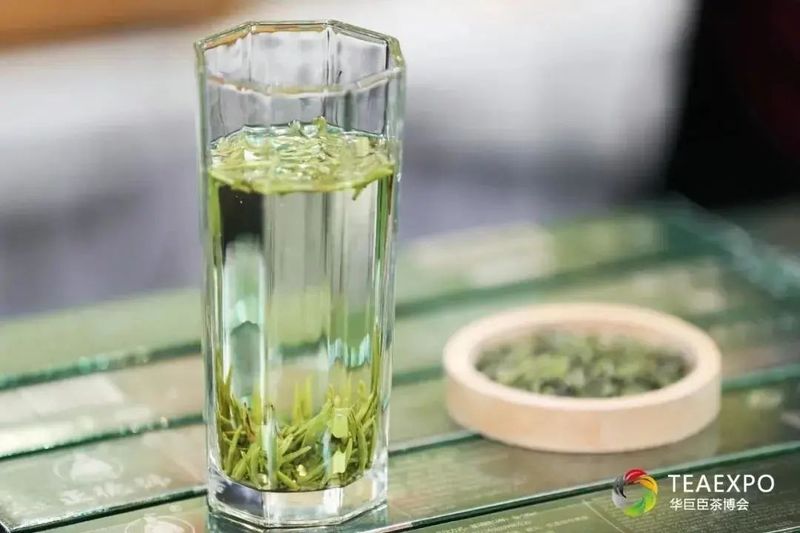 关于寒潮席卷，今年春茶会受影响吗？能否如期上市？的最新消息