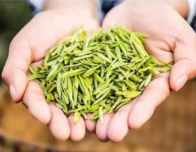 有关于川茶集团的消息(1)