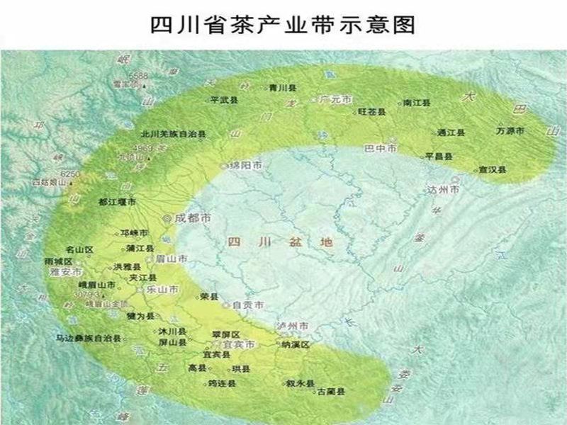 有关于川茶集团的消息