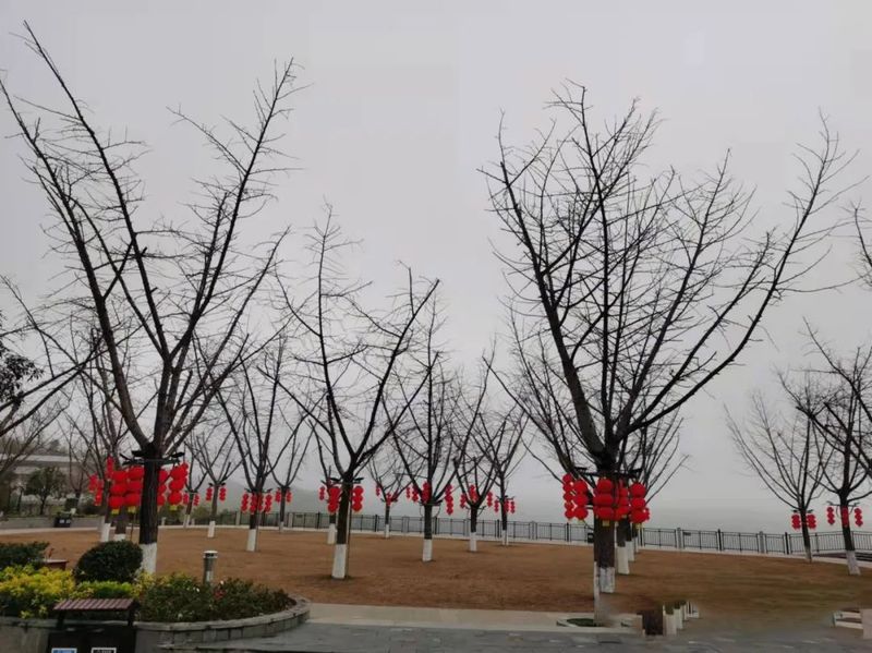 有关于赣州市茶协：深入茶企调研 谋划茶事活动的新闻
