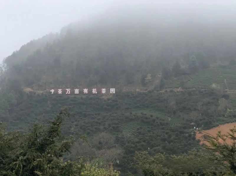 有关于赣州市茶协：深入茶企调研 谋划茶事活动的新闻(2)