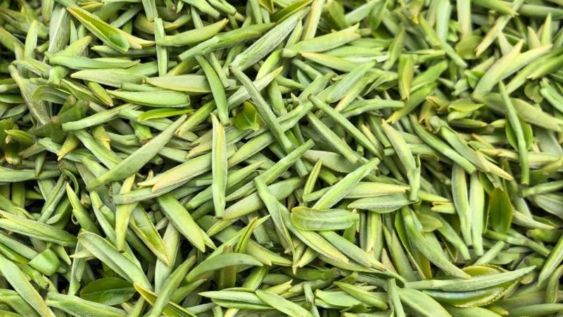 有关于贵州绿茶"客串"热播剧 ,迎来"最强龙套"(2)