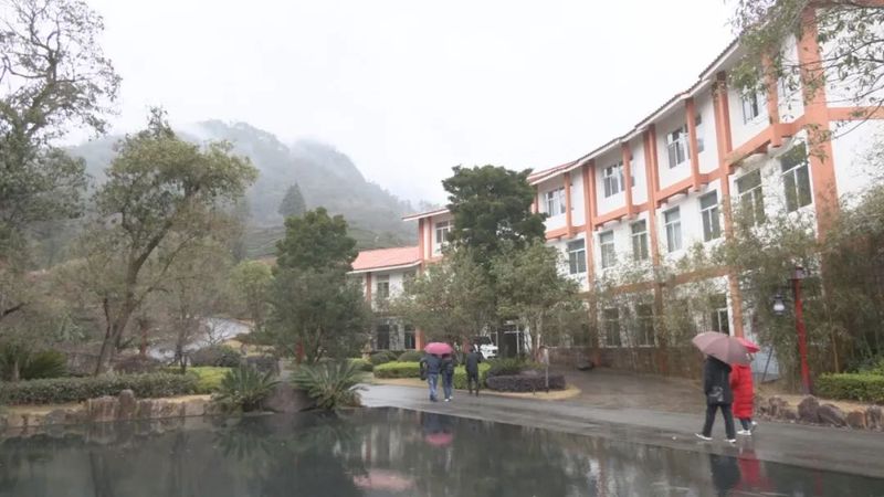 关于促“三茶”融合 谋乡村振兴,福建省“两直两前”调研小分队入武调研的资讯