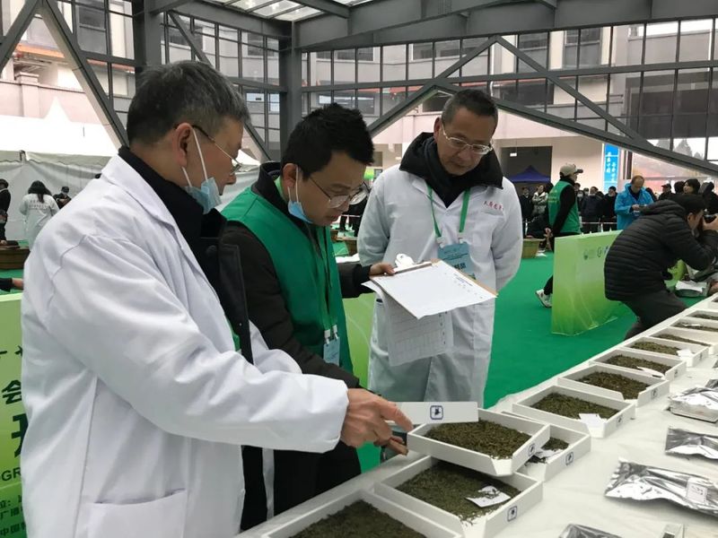 关于做大做强精制川茶产业 四川省茶叶行业协会受邀参加四川第九届茶叶开采活动周的新闻(9)