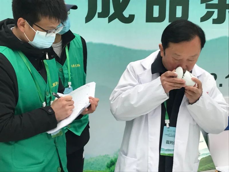 关于做大做强精制川茶产业 四川省茶叶行业协会受邀参加四川第九届茶叶开采活动周的新闻(8)