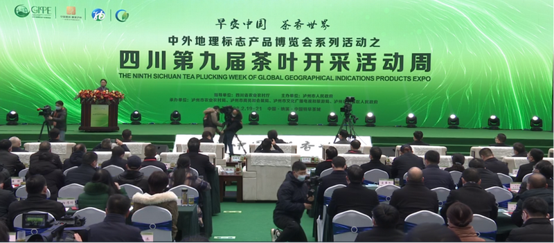 关于做大做强精制川茶产业 四川省茶叶行业协会受邀参加四川第九届茶叶开采活动周的新闻(2)