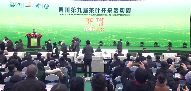 关于做大做强精制川茶产业 四川省茶叶行业协会受邀参加四川第九届茶叶开采活动周的新闻(13)