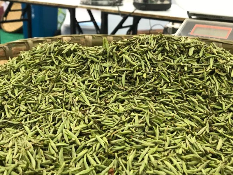 关于做大做强精制川茶产业 四川省茶叶行业协会受邀参加四川第九届茶叶开采活动周的新闻(3)