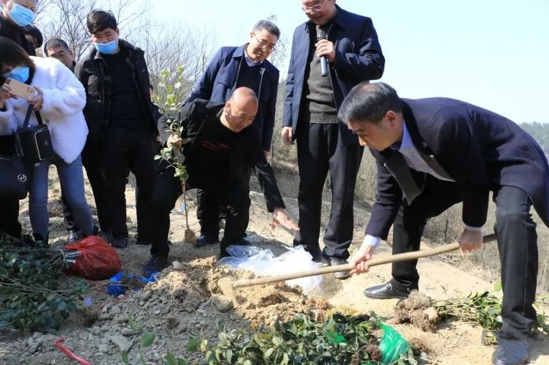 有关于田间变课堂 汉滨油茶栽植培训忙的最新消息(1)