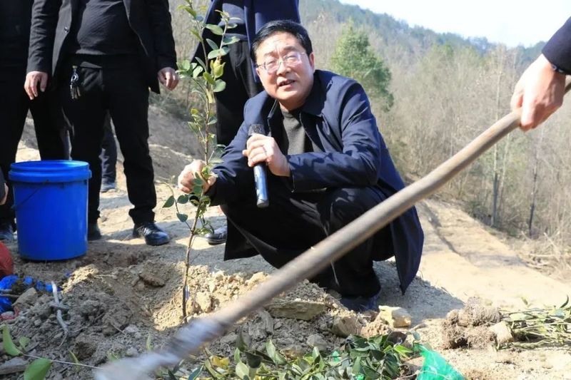 有关于田间变课堂 汉滨油茶栽植培训忙的最新消息(4)