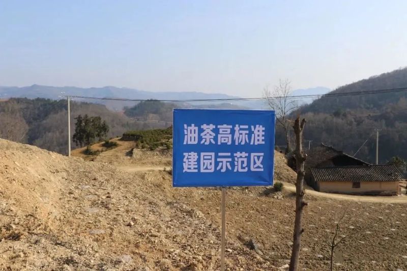 有关于田间变课堂 汉滨油茶栽植培训忙的最新消息(2)