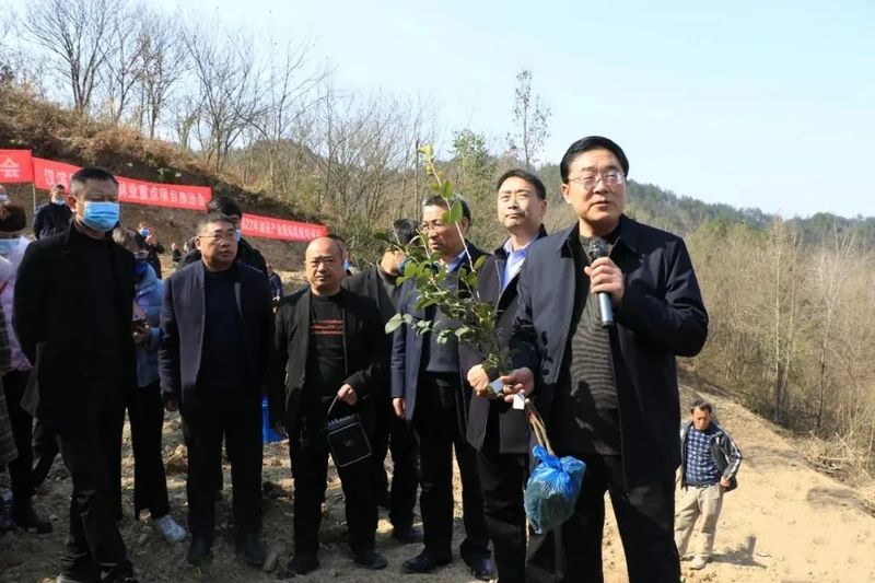 有关于田间变课堂 汉滨油茶栽植培训忙的最新消息