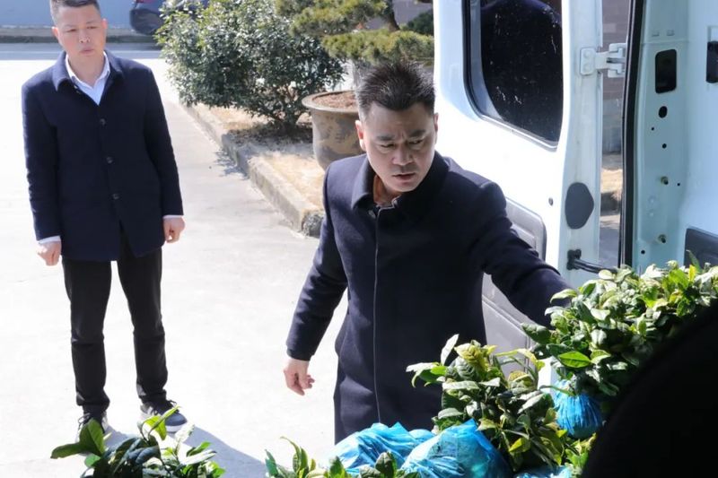 有关于安吉鄣吴镇上堡村共同富裕 宋茗公司这么干的相关信息(1)