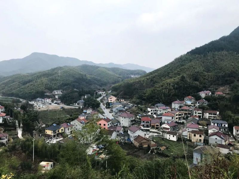 有关于安吉鄣吴镇上堡村共同富裕 宋茗公司这么干的相关信息(2)