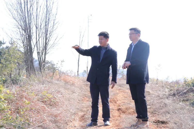有关于安吉鄣吴镇上堡村共同富裕 宋茗公司这么干的相关信息(4)