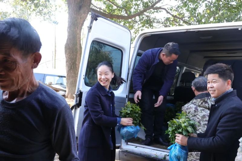 有关于安吉鄣吴镇上堡村共同富裕 宋茗公司这么干的相关信息(5)