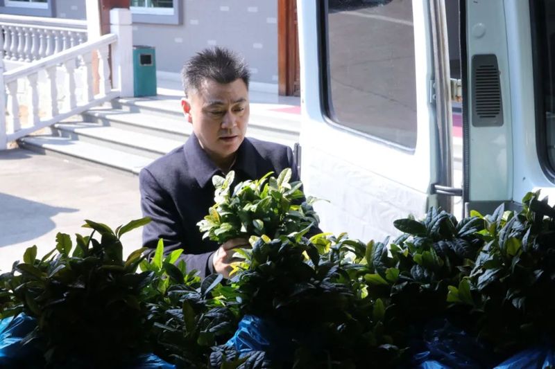 有关于安吉鄣吴镇上堡村共同富裕 宋茗公司这么干的相关信息