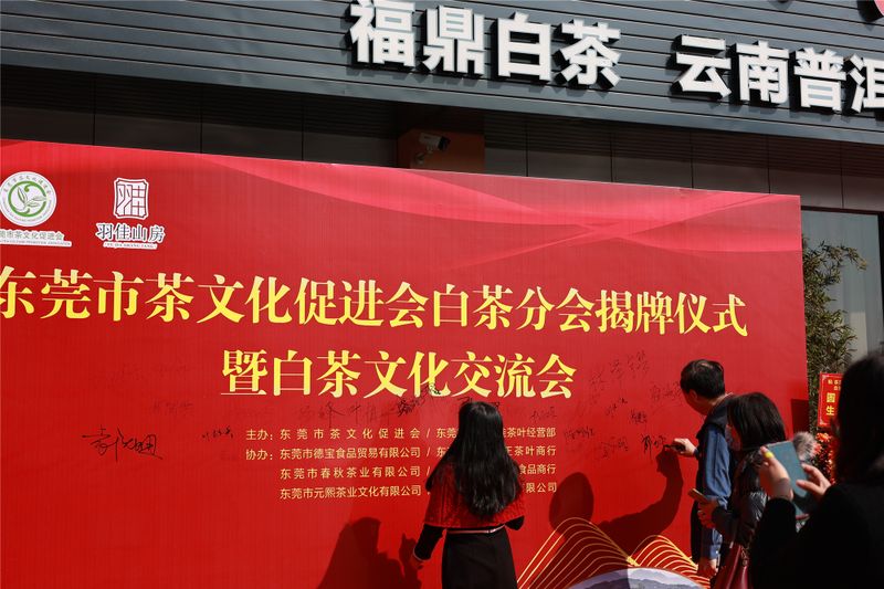 有关于东莞市茶文化促进会白茶分会揭牌仪式成功举行！的内容(12)