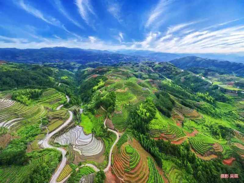 关于“三抓”管控!打造“柘荣高山白茶”品牌亮点的内容(2)