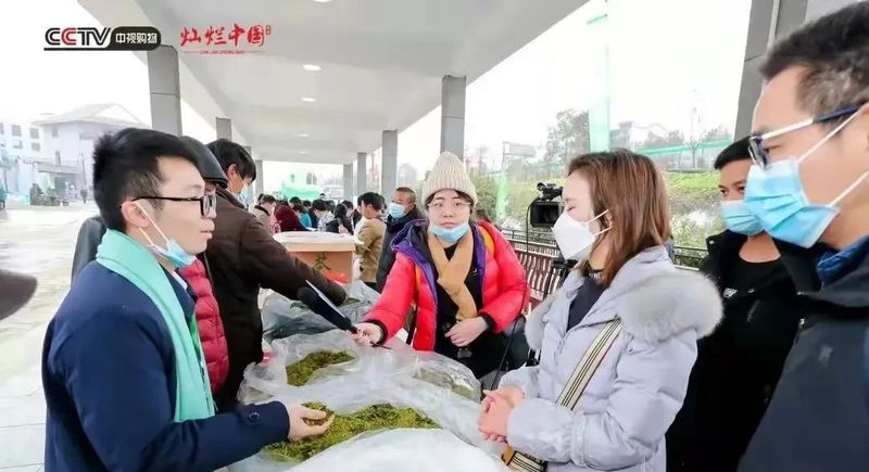 有关于贵州晴隆早春茶缘何成为销区新宠?的资讯
