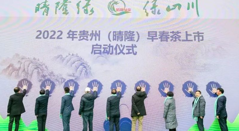 有关于贵州晴隆早春茶缘何成为销区新宠?的资讯(2)