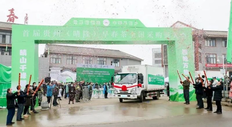 有关于贵州晴隆早春茶缘何成为销区新宠?的资讯(1)